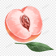 主播视频软件安装教程APP应用