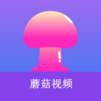 麻豆传媒视频APP应用
