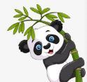龙珠pw手机版下载 龙珠pw手机版下载